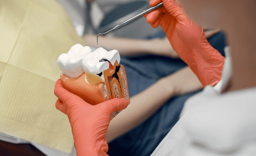 Dental Art - Cabinet Endodonție Oradea
