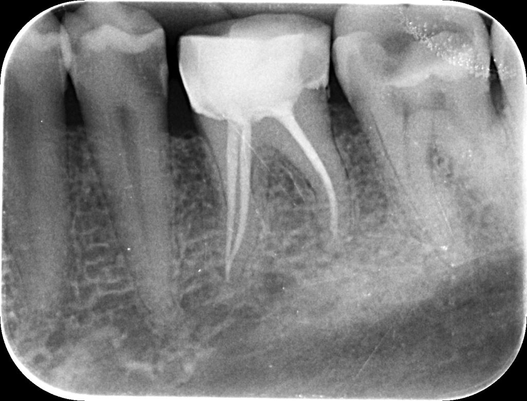 Dental Art - Clinică Endodonție Oradea